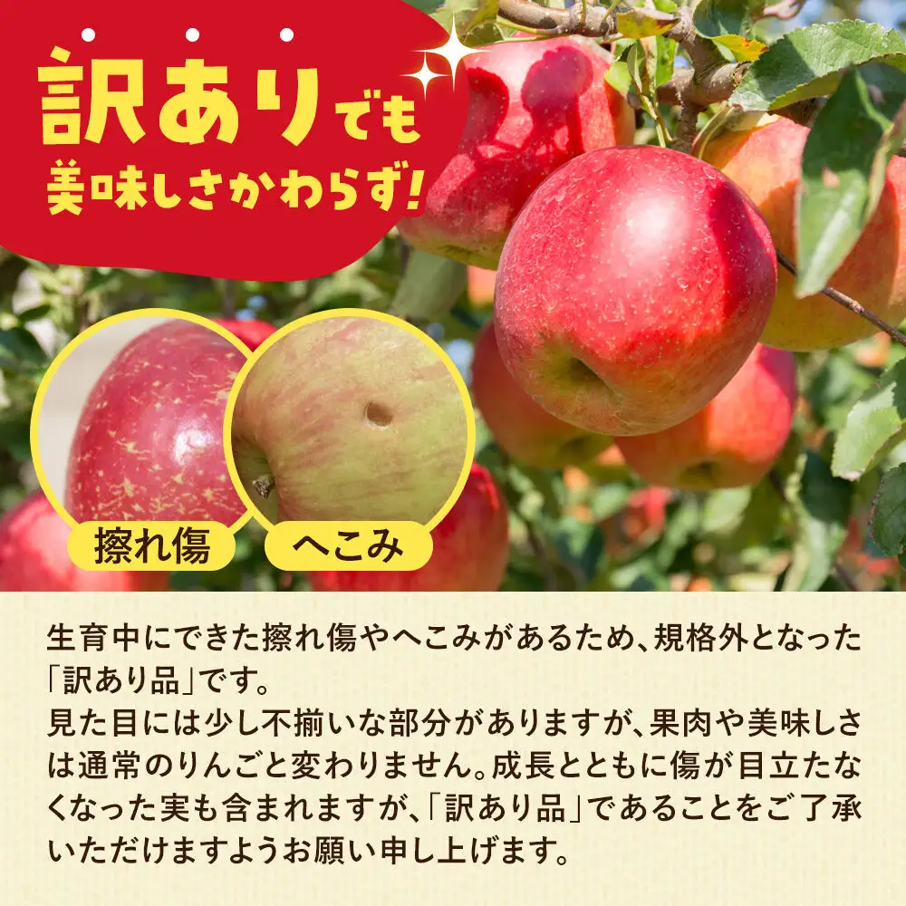 《先行受付》【訳あり】 秋田の果樹園直送りんご（ふじ） 5kg （11月中旬～発送）