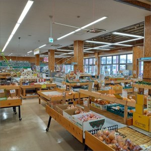 【先行予約／数量限定】直売所直送「京都・京丹後産 訳あり さつまいも3種食べ比べセット」計3kg（2026年10月下旬～発送）