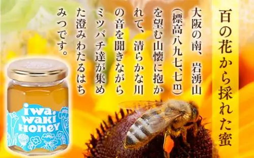 岩湧ハニー 純粋百花はちみつ 500g×1本セット