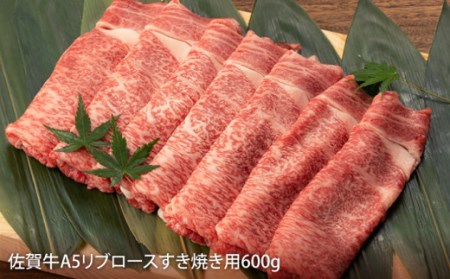 【定期便】 佐賀牛堪能コース 総計1.8kg NAB074 佐賀牛 全3回