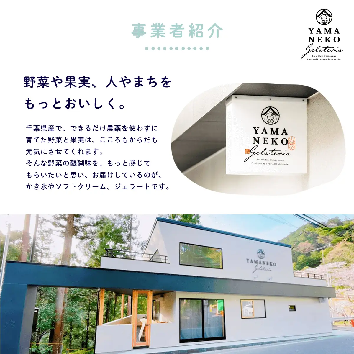W01031 野菜ソムリエのイタリアンジェラート専門店＜山猫ソフトクリーム＞６個セット