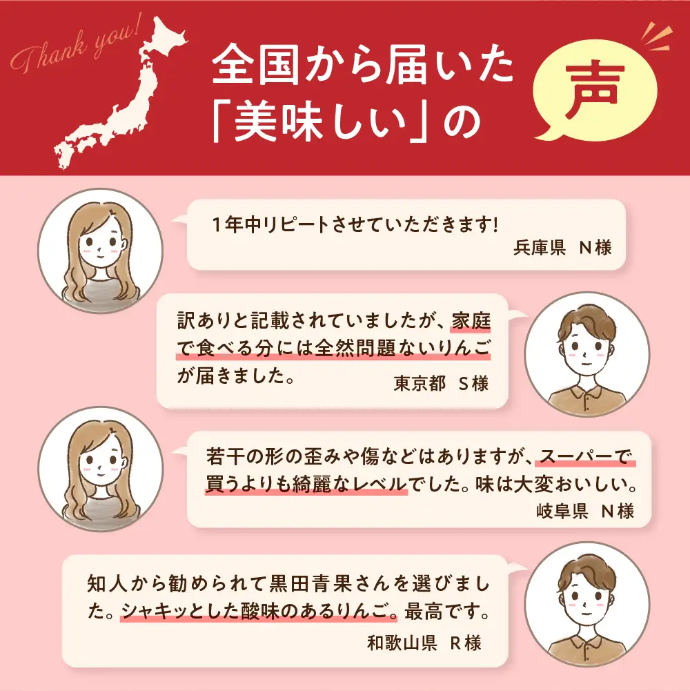 【2026年12月後半発送】【ちょっと訳あり】 りんご 約10kg サンふじ 青森県産 りんご