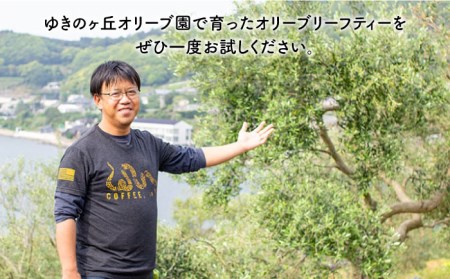 【6回定期便】オリーブリーフティー 5袋 長与町/ゆきのヶ丘オリーブ園 [EAV020]   オリーブリーフティー お茶 ティーバッグ