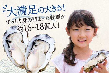【期間限定発送】 TVで紹介！ 牡蠣 3～4年モノ 生食 殻付き牡蠣 約3kg(約16-18個入) 