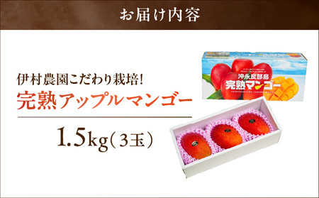 【 2026年 先行予約 】 伊村農園 こだわり 栽培 ！ 完熟 アップルマンゴー 1.5kg （ 3 玉 ） W026-003u 果物 マンゴー