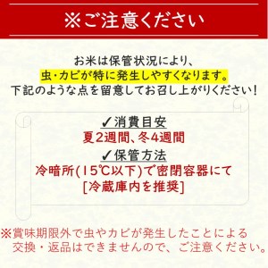 【定期便12回】くまもとの無洗米 10㎏ 熊本県 和水町産 | 無洗米 くまもと 無洗米 和水 無洗米 県北 無洗米 5kg 無洗米 2袋