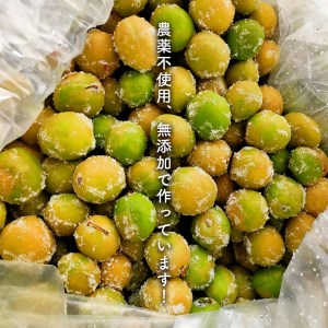 自然栽培  昔ながらの紫蘇漬け梅干し 400g | 熊本県 熊本 くまもと 和水町 なごみまち なごみ 梅 シソ 紫蘇 しそ うめ 梅干し 梅干