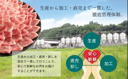 グランプリ受賞火の本 豚 ！切り落とし4.4kg 豚肉