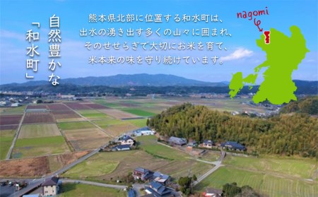 【定期便3回】 令和5年産 無洗米 南関郷のお米 「ひのひかり」5kg 熊本県産| 無洗米 くまもと 無洗米 熊本 無洗米 熊本県 無洗米 和水町 無洗米 南関郷 無洗米 南関 無洗米 三加和 無洗米 和水町 無洗米 ひのひかり 無洗米 節水 無洗米 節約 無洗米 ヒノヒカリ 無洗米 単一原料米 無洗米 5kg 無洗米 定期 無洗米 定期便 無洗米 3回 無洗米
