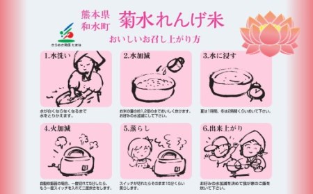  熊本和水町産 ひのひかり（菊水れんげ米）8kg