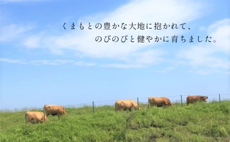【定期便3回】肥後の赤牛　すき焼き用 500g | 熊本県 熊本 くまもと 和水町 なごみ 牛肉 赤牛 あか牛 すき焼き 500g 定期便 定期 3回