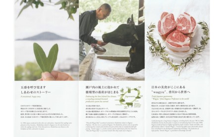 香川県産　オリーブ牛、豚　500ｇ　定期便（1月～6月） 牛肉 お肉 豚肉 毎月届く 半年 6回お届け すき焼き ロース しゃぶしゃぶ 焼肉 とんかつ 切り落とし 