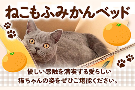猫 ねこもふみかんベッド 濱田紙販売株式会社