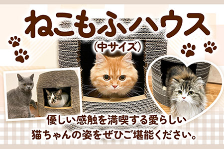 ねこちぐら ねこもふハウス(中サイズ) 濱田紙販売株式会社