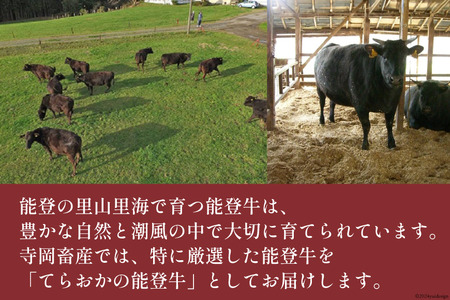 ≪お二人様用≫【てらおかの能登牛】定期便 6回コース・A5プレミアムK