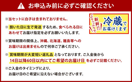 【配送日指定必須】 とらふぐ 刺身 ・ ふぐ鍋 セット (4～5人前) ふぐ フグ まふぐ