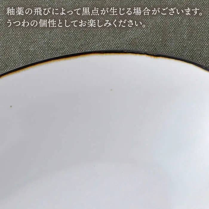 【波佐見焼】ボウル（渕錆ライン/渕青ライン） ペアセット サラダボウル 食器 皿 【ROXY・HASAMI】 [SB161]  波佐見焼