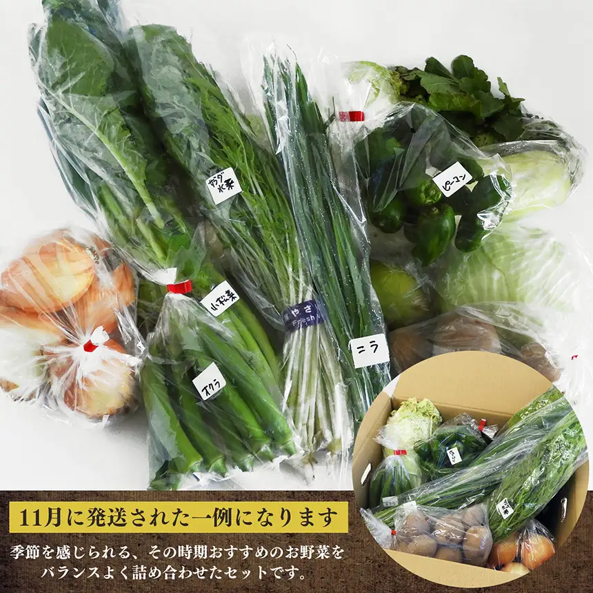生命の農法 （ 無化学農薬 ・ 無化学肥料栽培 ） 季節 の 野菜 セット | 慈光会自然食品販売所