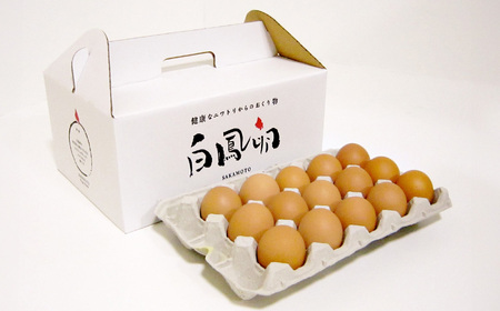 【定期便】さかもと養鶏の白鳳卵60個（30個入×全2回配送） | 卵 たまご 玉子 タマゴ　生たまご 生卵 白鳳卵　奈良県 五條市