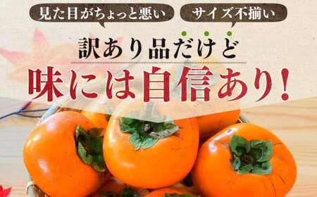 富有柿 わけあり ！ 約 7kg | 訳アリ 訳あり 家庭用 ご家庭用 奈良 お歳暮 秋 味覚 フルーツ 果物 くだもの 柿 かき カキ 奈良県 五條市