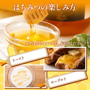 はちみつ 国産はちみつ黒ラベル1kg【最短翌日発送】