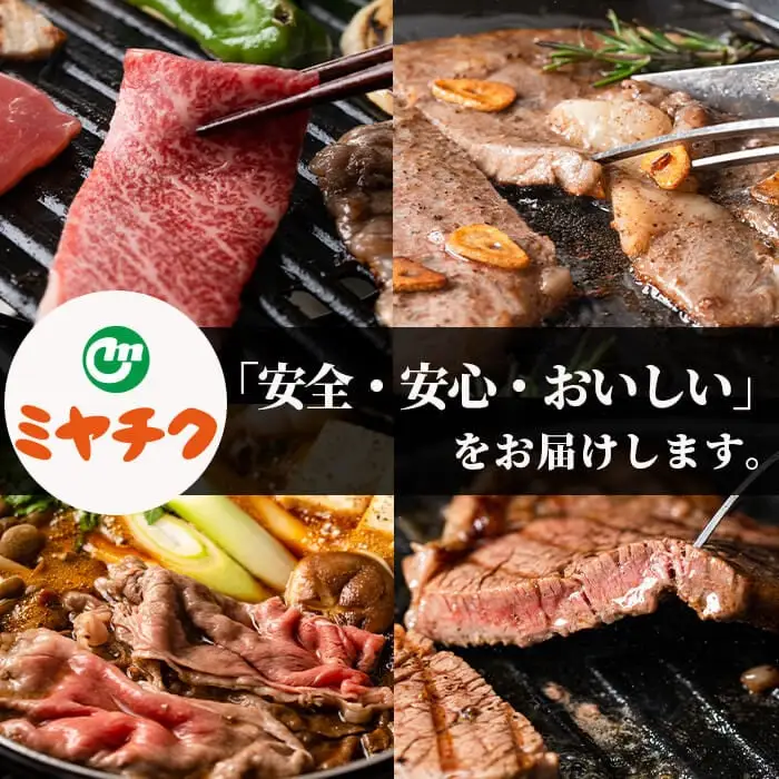 宮崎牛ステーキ(ロース・モモ)セット(合計1kg・各500g)国産 牛肉 お肉 冷凍【R-77】【ミヤチク】