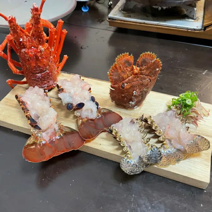 活伊勢海老 約3kg(5～15尾)【 イセエビ 伊勢海老 】