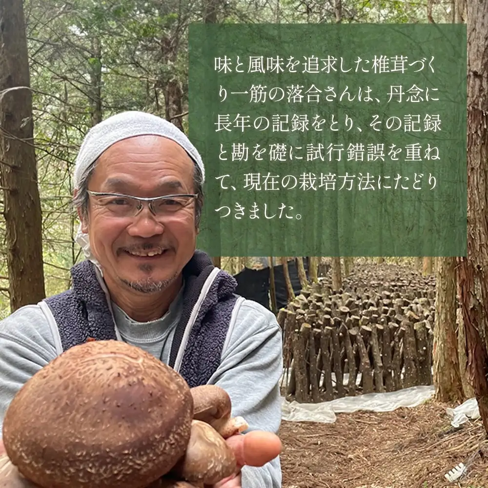 槻木産 中葉厚肉 乾燥椎茸 計300g (100g×3袋) 026-0573