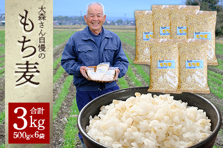 【 熊本県産 もち麦 】3kg(500g×6袋) 白米 と 炊くだけ！【 もちもち もちむぎ 麦 もち麦 ヘルシー 食感 ぷちぷち 食物繊維 炊飯 健康 高栄養 ポリフェノール  熊本県 多良木町産 】065-0589