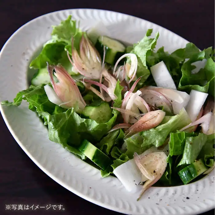 【波佐見焼】ローズマリー リムオーバル プレート グレー 食器 皿 【翔芳窯】 [FE206]  波佐見焼