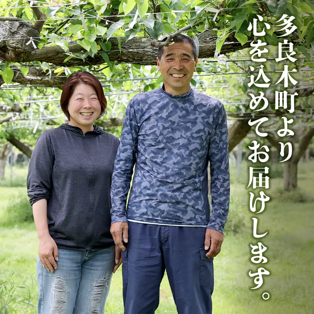【7月下旬～10月発送】東光寺 梨 4kg (8～15玉) 1箱 025-0572