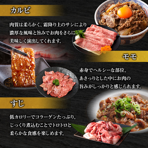 神戸牛 帝神 おまかせ コースF 神戸ビーフ 神戸牛