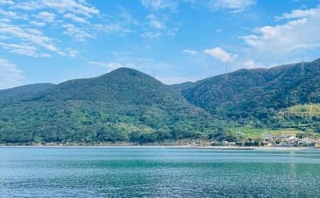 【ふるさと納税】宮津の風景プレミアム ソープ 植物性 保湿 美容 宮津の風景プレミアム