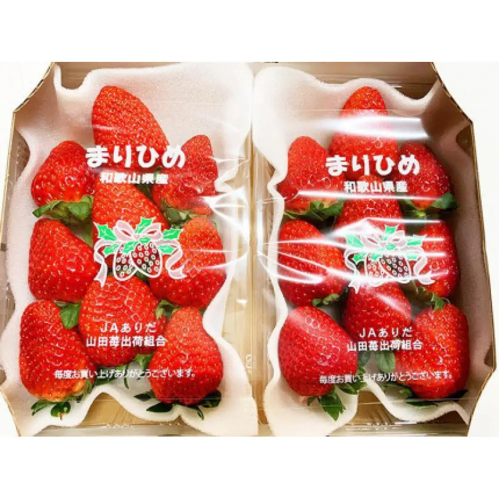 紀州和歌山ブランドいちご「まりひめ」約280g×2P［2027年1月上旬頃から2027年2月下旬頃に順次発送］［UT38］