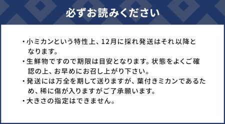 【先行予約】国指定天然記念物 尾崎小 みかん 先祖木の小みかん | 津久見市