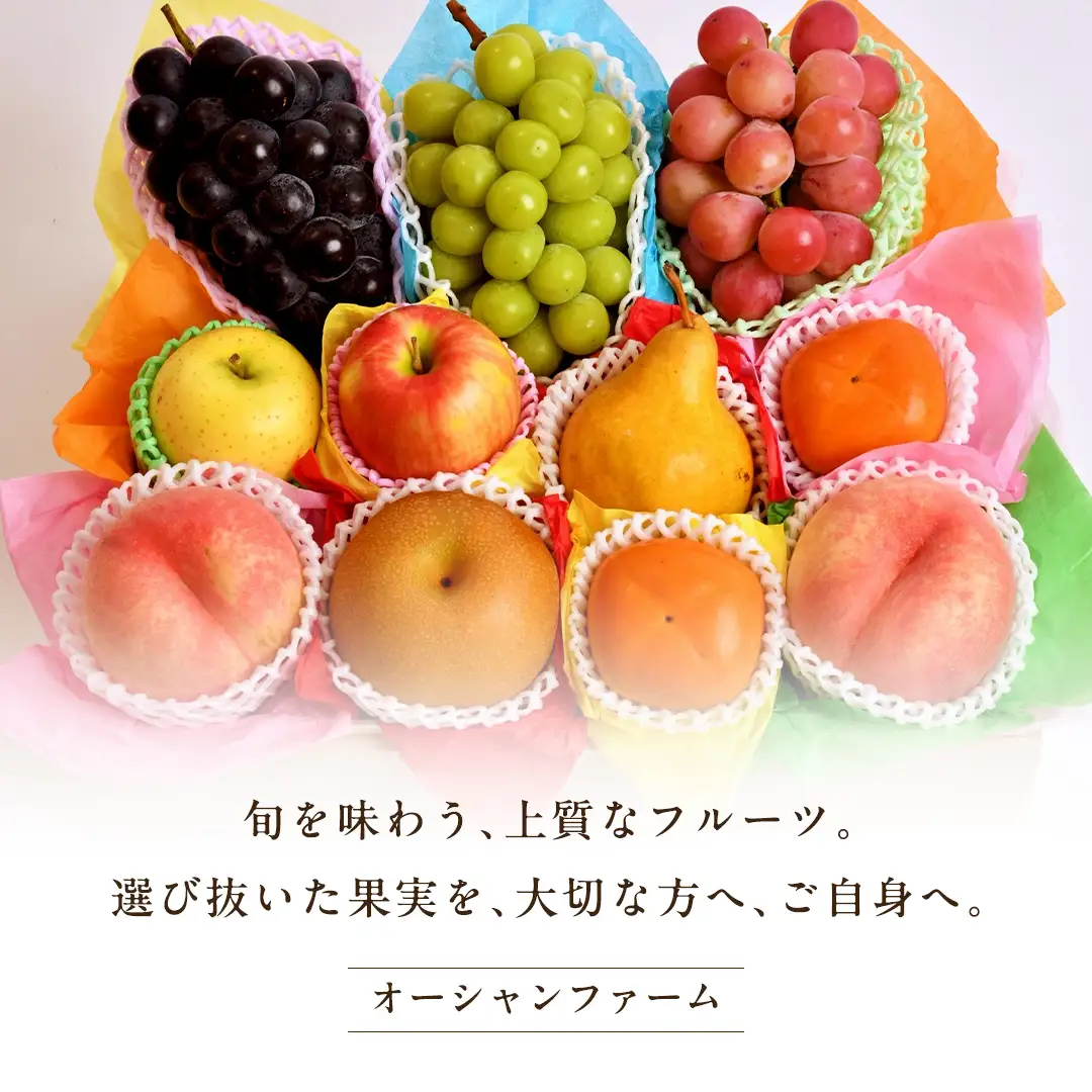 ピオーネ 2房 【2026年8月より発送開始】（茨城県共通返礼品 [ぶどう]：結城市産） ぶどう フルーツ 果物