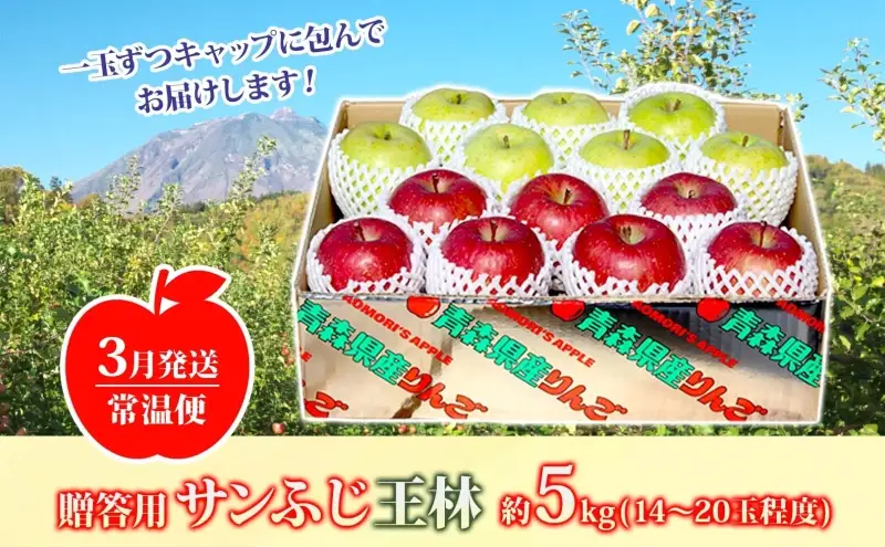 りんご詰合せ サンふじ王林 青森県産 贈答用 りんご詰合せ【約5kg】【3月発送】