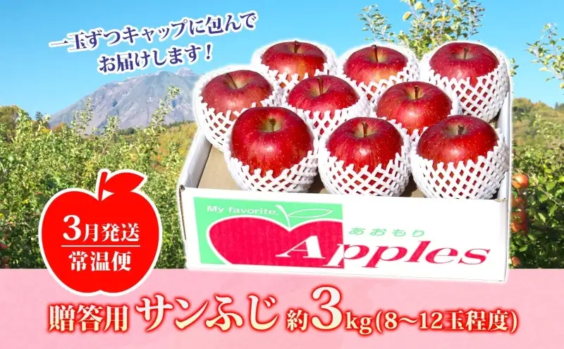 りんご贈答用サンふじ 青森県産 りんご【約3kg】【3月発送】