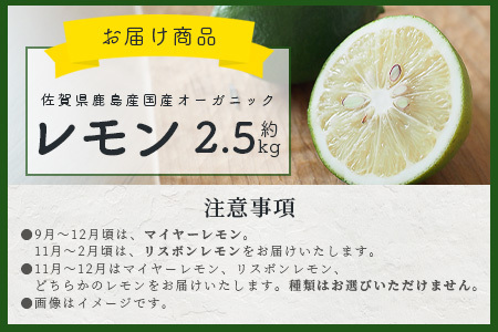 国産 オーガニックレモン 約2.5kg マイヤーレモン レモン 檸檬 B-91