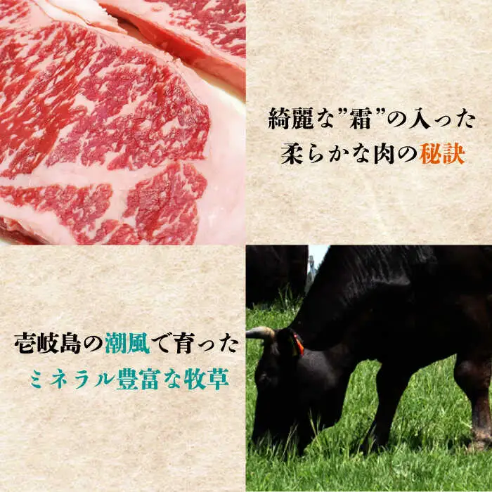 【全6回定期便】 壱岐牛 肉 定期便 《壱岐市》【壱岐市ふるさと商社】 肉 黒毛和牛 ハンバーグ ステーキ しゃぶしゃぶ すき焼き [JAA027] 181000 181000円