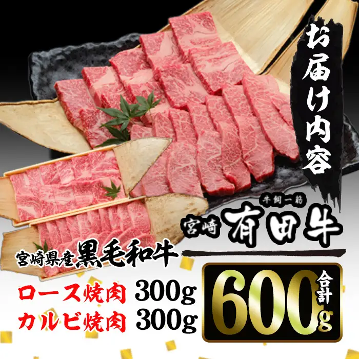 宮崎黒毛和牛焼肉セット(ロース・カルビ各300g)【AR005】【(有)有田牧畜産業 食肉加工センター】