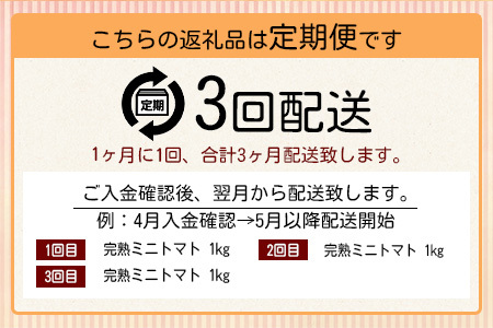 【3回定期便】【先行受付】2027年1月より順次発送予定|完熟ミニトマト 1kg｜ミニトマト トマト プチトマト 農家直送 ギフト 人気 佐賀県鹿島市 たにぐちファーム Ricotomato（リコトマト）～とりこになるトマト～  E-68