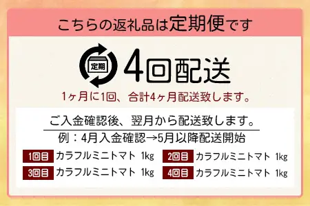 【4回定期便】【先行受付】2027年1月より順次発送 カラフルミニトマト6種 1kg ミニトマト プチトマト 定期便 農家直送 たにぐちファーム Ricotomato～とりこになるトマト～ F-25