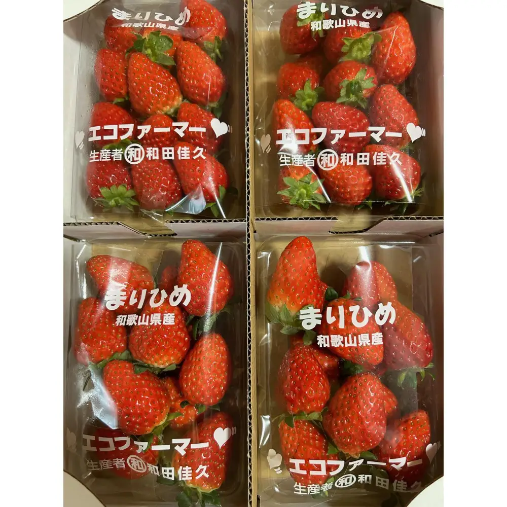 紀州和歌山ブランドいちご「まりひめ」約250g×4P ［2027年3月上旬頃～3月下旬頃に順次発送］［UT39］