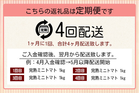 【4回定期便】【先行受付】2027年1月より順次発送予定|完熟ミニトマト 1kg｜ミニトマト トマト プチトマト 農家直送 ギフト 人気 佐賀県鹿島市 たにぐちファーム Ricotomato（リコトマト）～とりこになるトマト～ F-32