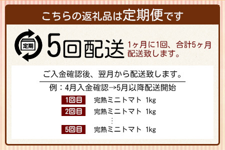 【5回定期便】【先行受付】2027年1月より順次発送予定|完熟ミニトマト 1kg｜ミニトマト トマト プチトマト 農家直送 ギフト 人気 佐賀県鹿島市 たにぐちファーム Ricotomato（リコトマト）～とりこになるトマト～ G-27
