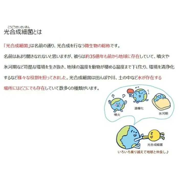 光合成細菌RAP99の力で健康を守る   テイエフケイ