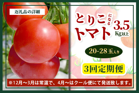 【3回定期便】【先行受付】2026年12月下旬より順次発送予定｜とりこになるトマト 3.5kg以上｜トマト 野菜 農家直送 ギフト 人気｜佐賀県鹿島市｜たにぐちファーム Ricotomato（リコトマト）～とりこになるトマト～C-84