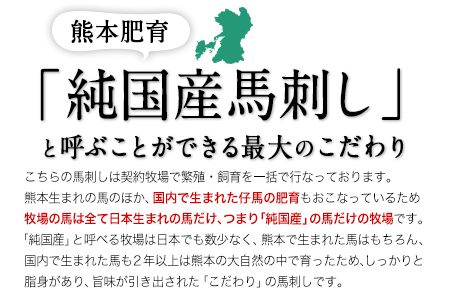純国産馬刺し＆馬肉料理福袋 計1kg 熊本肥育 2年連続農林水産大臣賞受賞《90日以内に出荷予定(土日祝除く)》 送料無料 馬刺し 馬肉 上赤身 馬肉 ソーセージ ハンバーグ 馬とろ コーネ たてがみ 熊本県 葦北郡 津奈木町 st-p