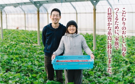 完熟あまおう 270g × 2パック【先行受付】【2027年1月以降順次発送】 糸島市 / slowberry strawberry [APJ002] 苺 あまおう イチゴ